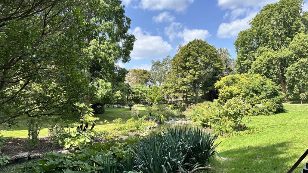 Trees and plants in Hyde Park in London